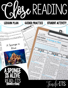 a sponge is alive Cover